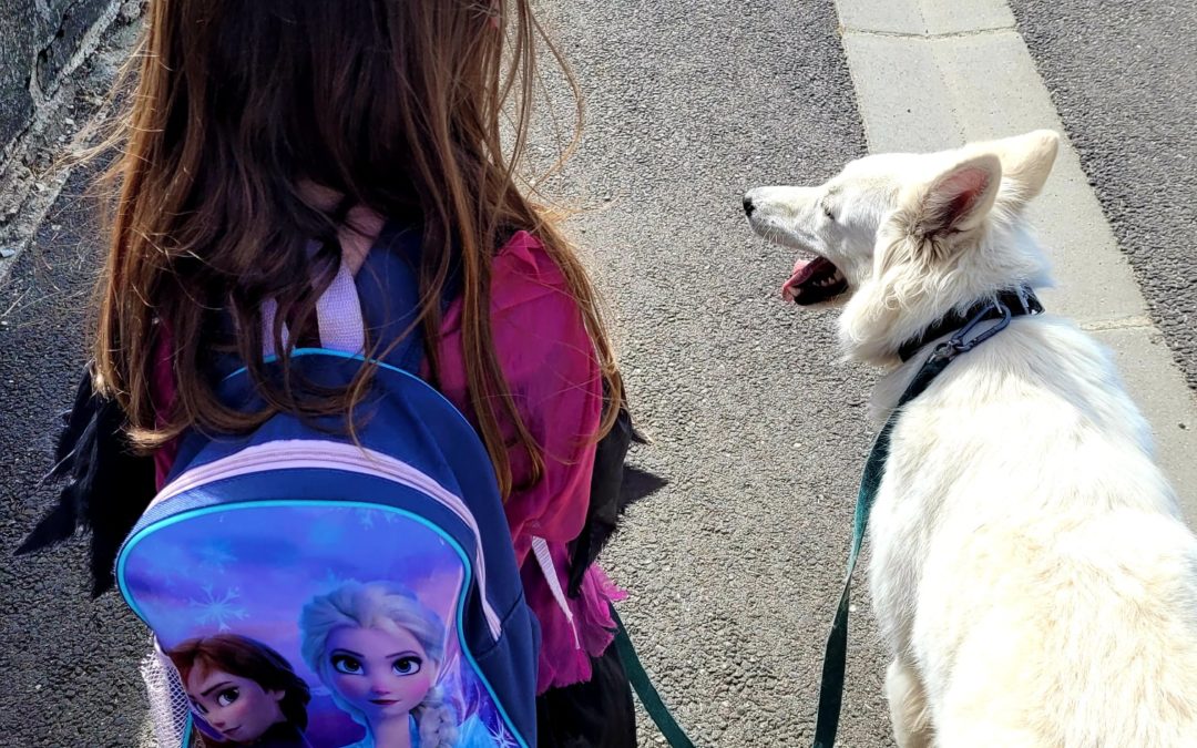 La marche au pied par Séverine- Educateur canin