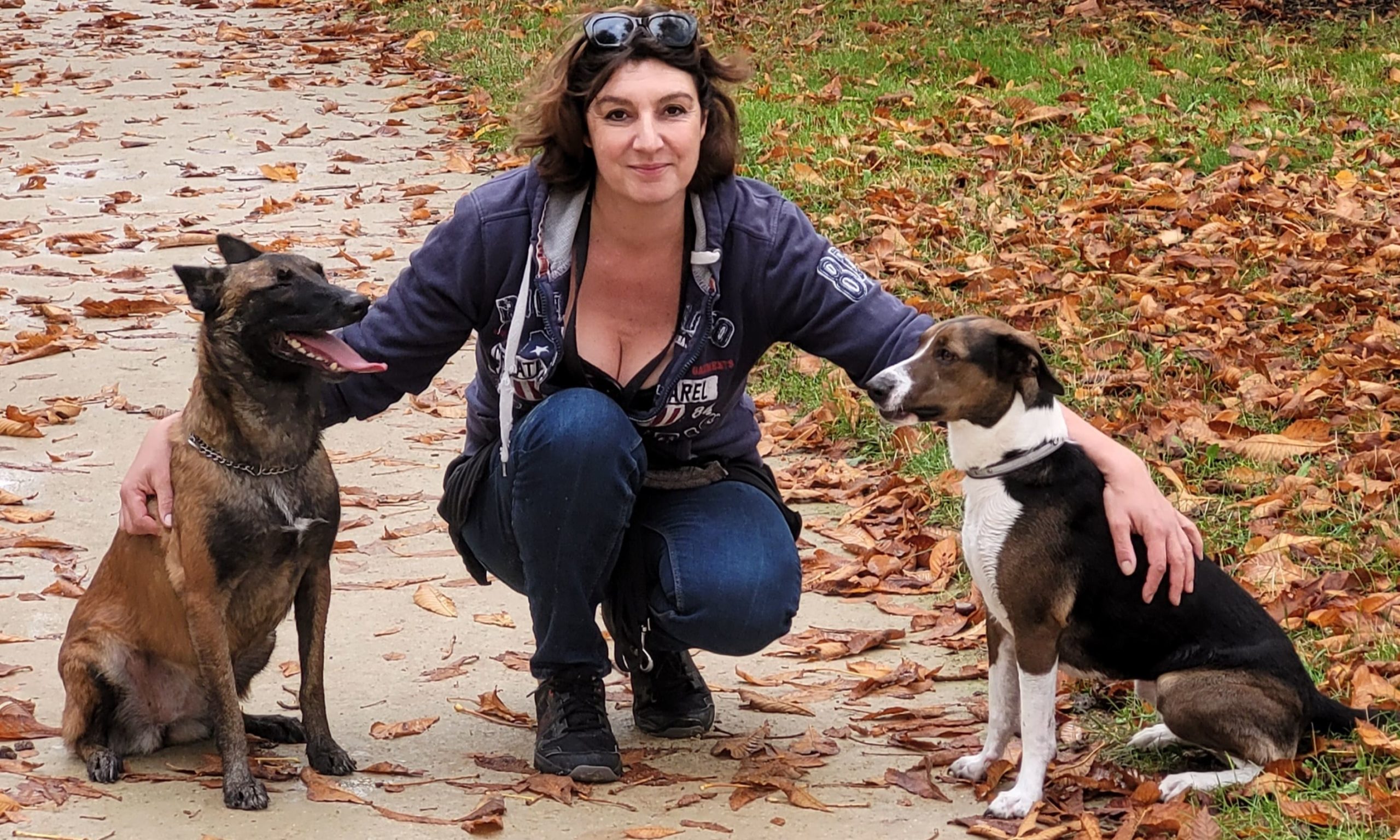 dogsandco01-education-chiens