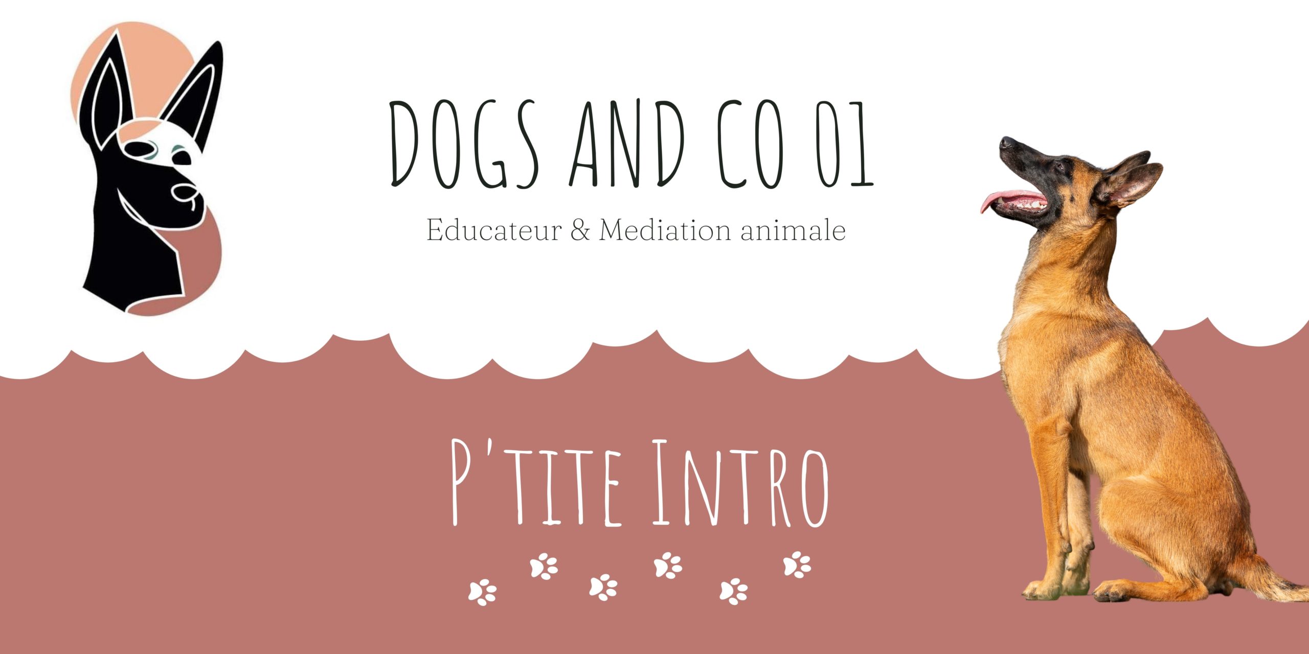 dogsandco-education-chiens